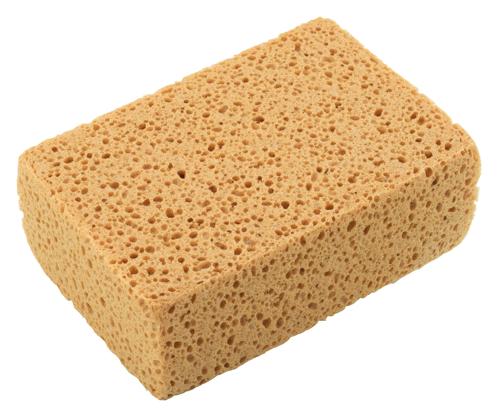 Schwämme