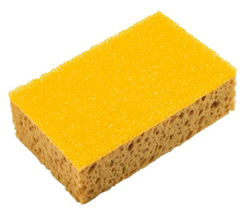 Sponges